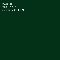 #023118 - County Green Color Image